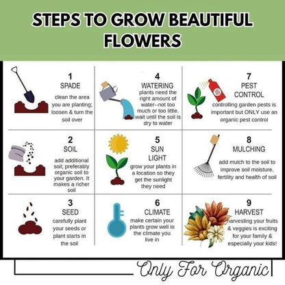 50 type of flower seeds combo  Today offer  only