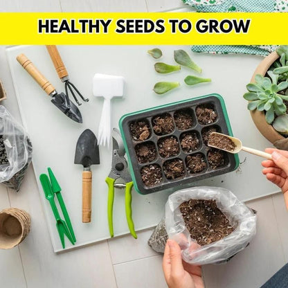 50 type of flower seeds combo  Today offer  only