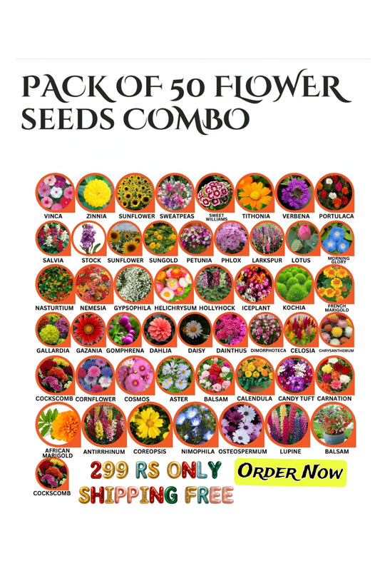 50 type of flower seeds combo  Today offer  only
